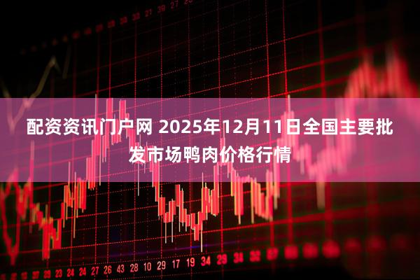 配资资讯门户网 2025年12月11日全国主要批发市场鸭肉价格行情