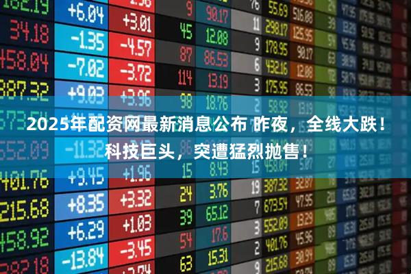 2025年配资网最新消息公布 昨夜，全线大跌！科技巨头，突遭猛烈抛售！